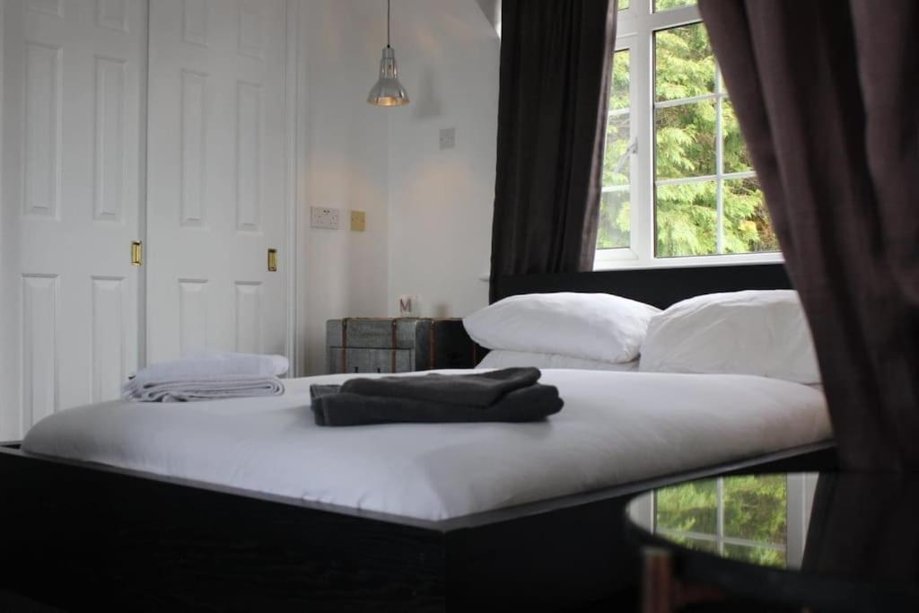 Gorgeous Annex Near Port Isaac Apartment Bodmin Ngoại thất bức ảnh